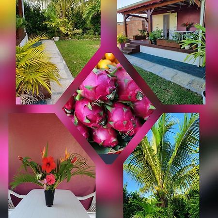 Les Cottages De Roseau Capesterre Belle Eau Bagian luar foto