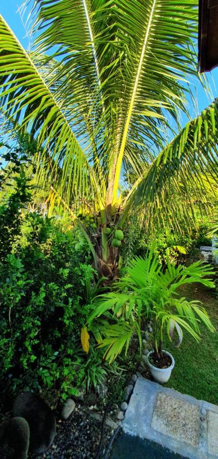 Les Cottages De Roseau Capesterre Belle Eau Bagian luar foto